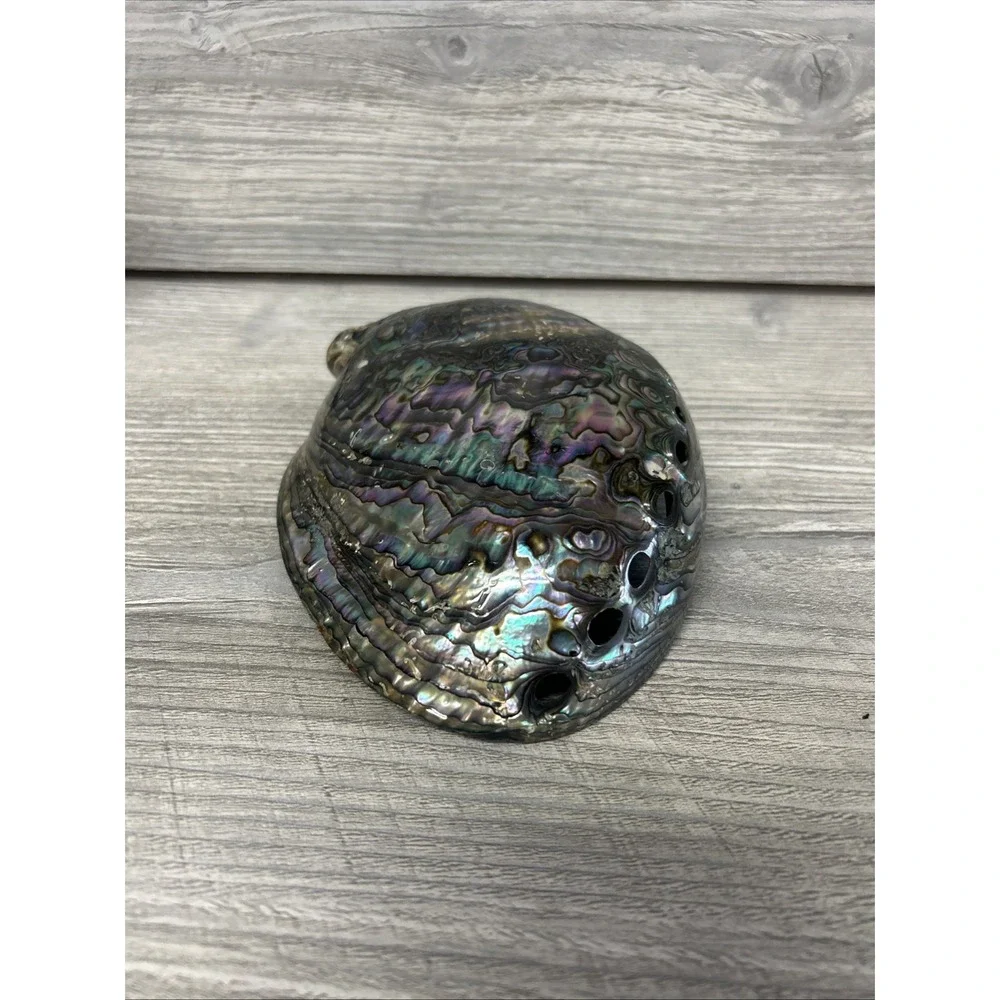 Large Abalone Seashell Iridescent Bowl Beach Home‎ Decor Pearl A3